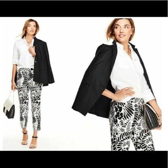 MWT Talbots Hampshire   - Picture 1 of 7